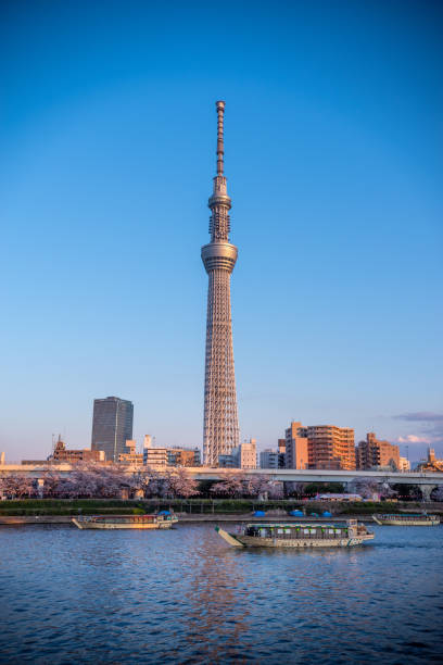 istock Tokyo skytree, Japan skyline on the Sumida River at dawn 1214057975