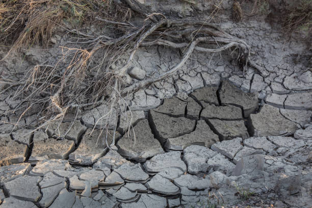 istock dried up riverbed with cracked clayey bottom 1214058584