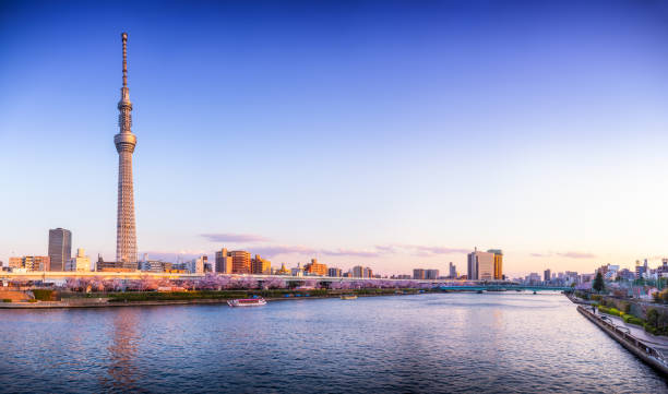 tokyo skyline sumida river bei sonnenuntergang - japan tokyo tower tokyo prefecture tower stock-fotos und bilder