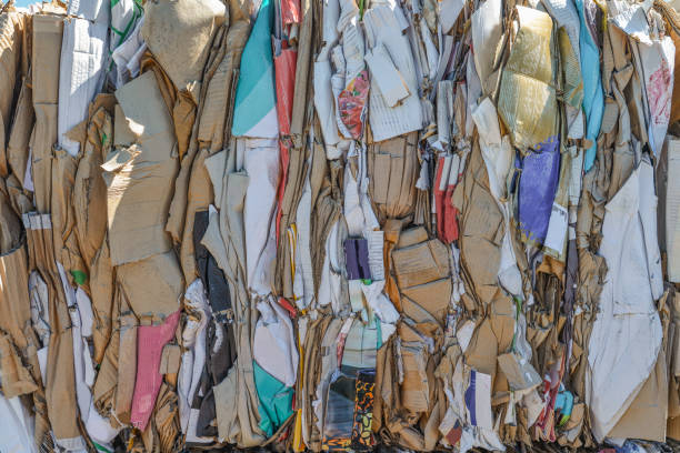 istock Paper and cardboard pressed for further processing recycling 1214059013