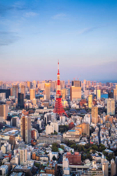 токио горизонта с токийской башней на закате. япония - tokyo tower shinjuku ward tokyo prefecture communications tower стоковые фото и изображения