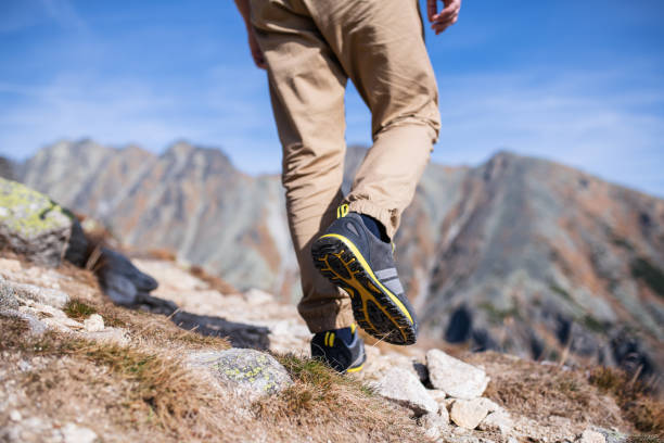 istock Legs of unrecognizable hiking in mountains in summer. 1214061681