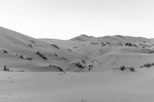 istock preety desert dunes landscape view black and white 1214061958