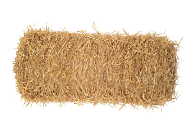 istock isolated bale of hay on white 1214062159