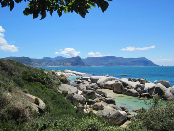 istock Aerial view on Boulders beach ZA 1214063724