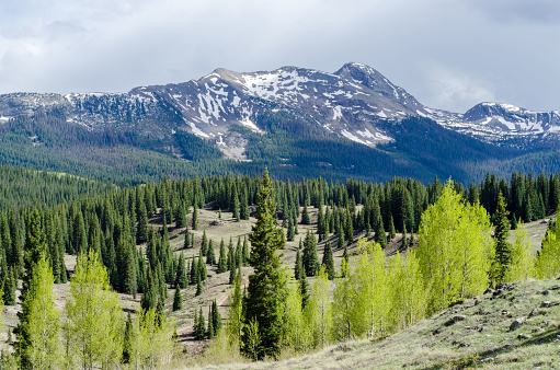 Colorado Landscape. Photographed during a road trip across US