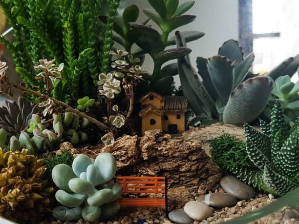 istock small house and ornamental plants on stones. interior design 1214065887