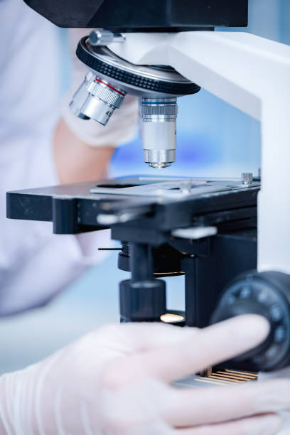 istock Closeup of Scientific microscope data analysis in the laboratory 1214068780