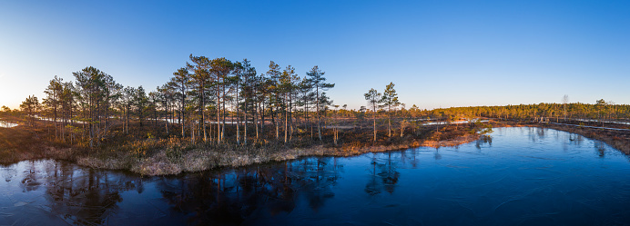 Big swamp wetlands Kemeri national park, Latvia