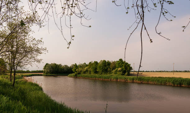 istock Caorle lagoon countryside landscape, Venice province 1214073561