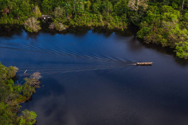 vue aérienne d’un canot parmi les arbres dans la forêt amazonienne au moment de l’inondation de la rivière. - rainforest brazil amazon river amazon rainforest photos et images de collection