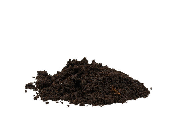 istock A handful of earth isolated on white background. 1214078346