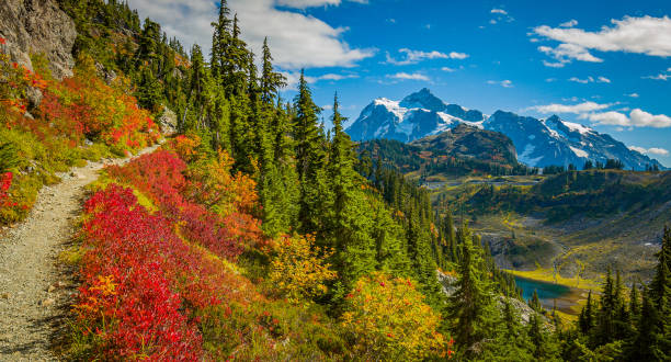Fall foliage, Chain lakes trail, Mt Baker, Washington st Fall foliage, Chain lakes trail, Mt Baker, Washington st washington state stock pictures, royalty-free photos & images
