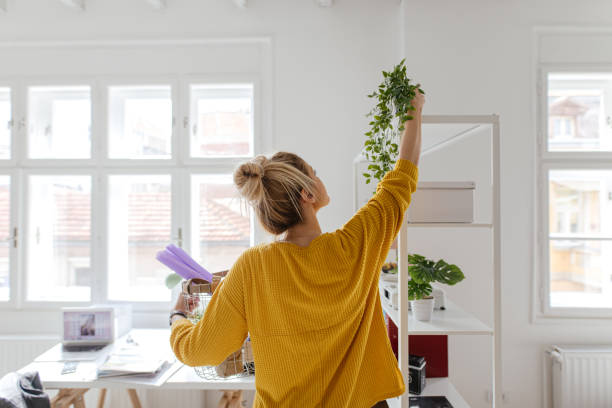 organizar un nuevo apartamento - arranging fotografías e imágenes de stock