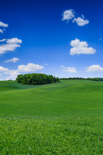 istock Panoramic spring landscape XXXXL 69 MPix - green field, blue sky 1214084413