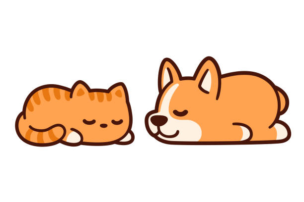 Cute sleeping cat and dog Cute cartoon corgi puppy and ginger kitten sleeping together. Adorable sleeping cat and dog drawing, vector illustration. kawaii stock illustrations