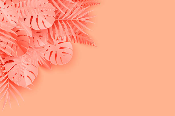 istock Tropical paper palm, monstera leaves frame. Summer tropical leaf. Origami exotic hawaiian jungle, summertime background. Paper cut style, pastel colors 1214085637