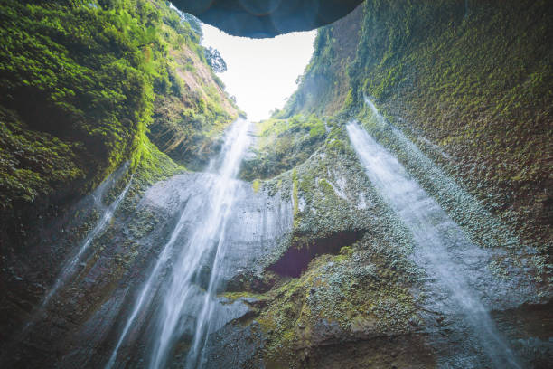 Jungle waterfall cascade in tropical rainforest.  Waterfall In Jungle ,Bali ,indonesia