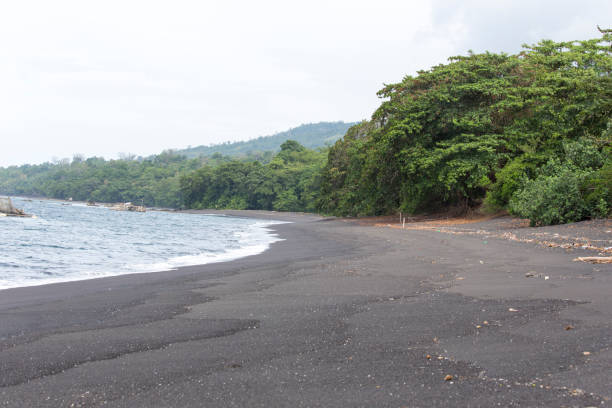 istock A beach of black sand in Tangkoko 1214090742