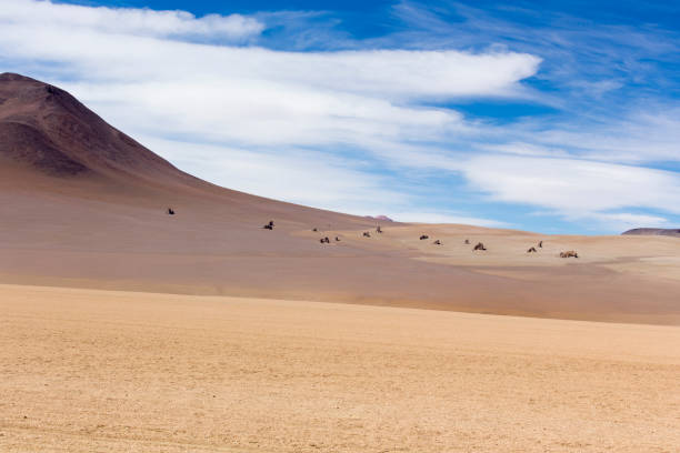 istock A view of Salvador Dali valley 1214090980