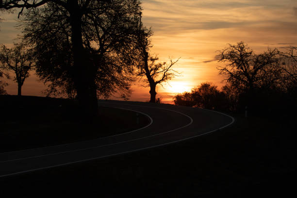 istock The sun between the branches of a tree . black silhouette of a tree on a sunset background. 1214092866