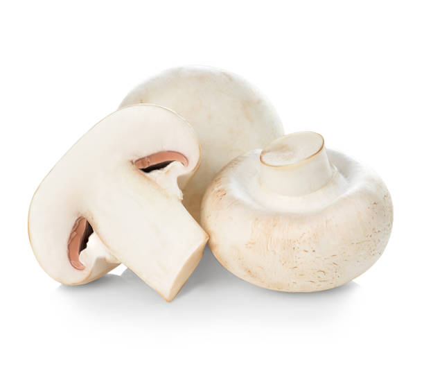 istock Fresh champignon mushrooms isolated on white. 1214093910