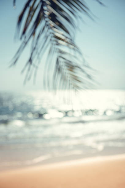 Blurred green palm leaf on tropical beach with bokeh sun light wave abstract background. Summer vacation and travel concept, Copy space