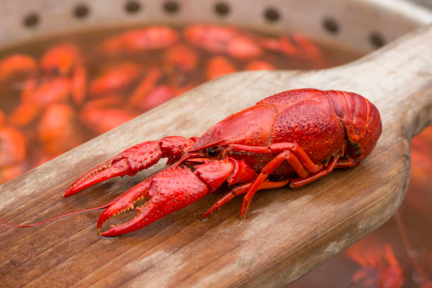 istock Spicy Hot Louisiana Boiled Crawfish 1214096924