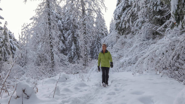 istock Man hikes along snowy trail at sunrise 1214096959