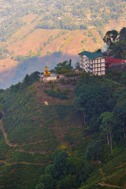 Tea plantations in Darjeeling, West Bengal, India. Stunning views of hills and a Buddha statue. Tea plantations in Darjeeling, West Bengal, India. Stunning views of hills and a Buddha statue. cameron montana stock pictures, royalty-free photos & images