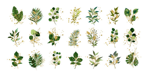 gold grün tropischen blätter hochzeitsstrauß mit goldenen splatter isoliert - gold leaf stock-grafiken, -clipart, -cartoons und -symbole