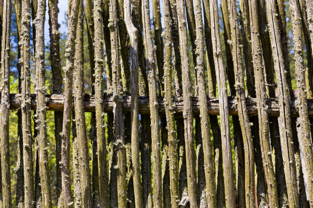 istock made of twigs fence 1214098414