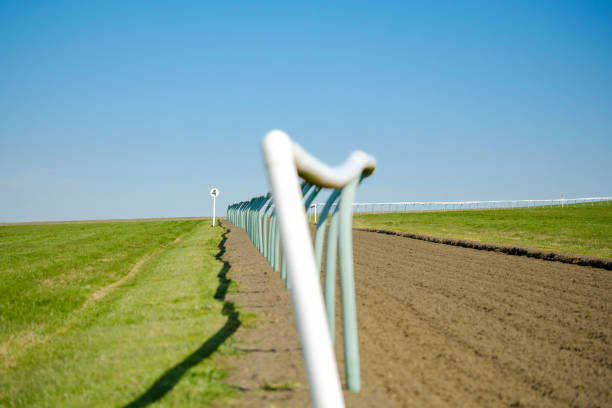 shallow focus of a race horse trackside fencing seen adjacent to the soft textured race course surface. - ascot imagens e fotografias de stock