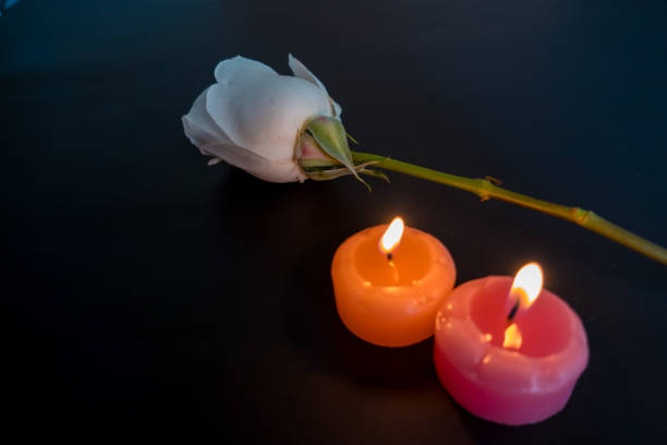istock white rose with two candles on a black background 1214101486