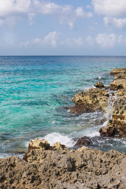 istock Caribbean Sea Coast at Cozumel Mexico 1214101524