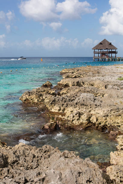 istock Caribbean Sea Coast at Cozumel Mexico 1214102076