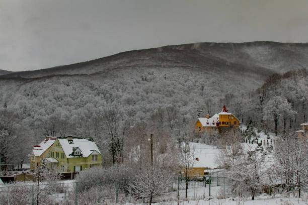Snow-covered winter village in the Carpathian mountains. Zakarpattia region, Ukraine. February 2016