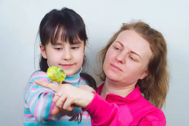 Photo of mother and daughter communicate with their tame yellow parrot.