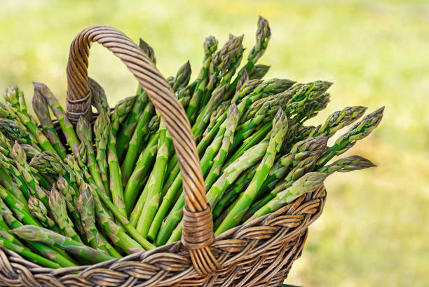 istock Bunch of green asparagus in basket 1214106091