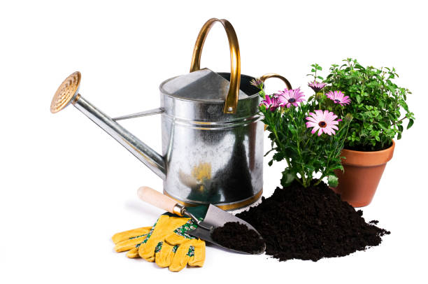 Gardening tools and plants isolated on white