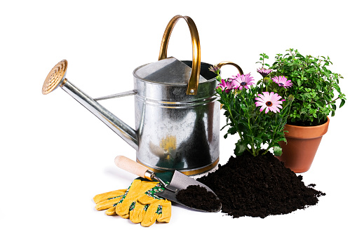 Gardening tools and plants isolated on white. Gardening - Set Of Tools For Gardener And Flowerpots