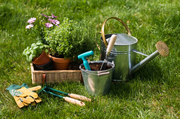 istock Gardening tools and plants in nature 1214106692
