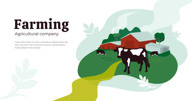 landwirtschaftliche oder landwirtschaftliche vorlage mit kühen auf der wiese - milchprodukte stock-grafiken, -clipart, -cartoons und -symbole
