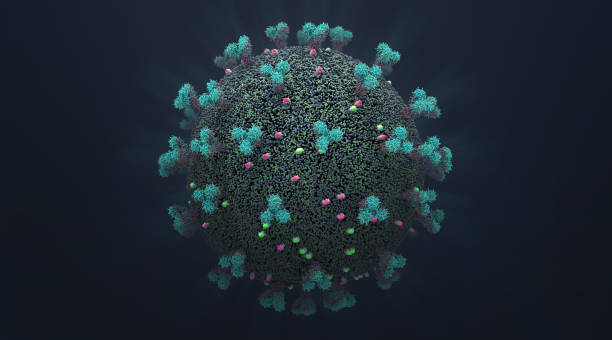 istock Representation of a infectious virus cell that replicates inside living cells - 3d illustration 1214115402
