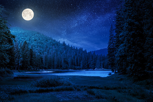 lake summer landscape at night. beautiful scenery among the forest in mountains in full moon light