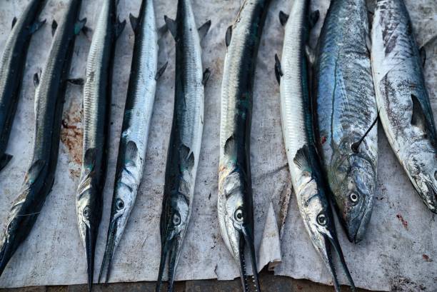 istock Fish market in Kochi, India 1214122167