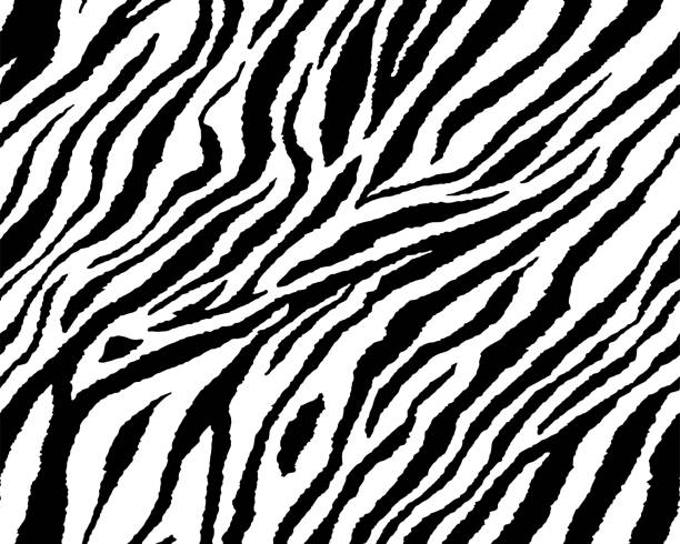 istock Full seamless wallpaper for zebra and tiger stripes animal skin pattern. Black and white design for textile fabric printing. Fashionable and home design fit. 1214122906