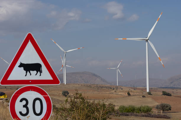istock Windmills and traffic sign at land 1214123017