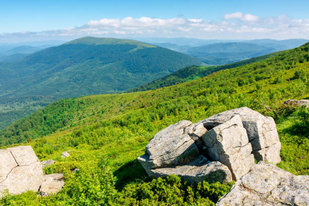 istock beautiful summer landscape in mountains 1214123032