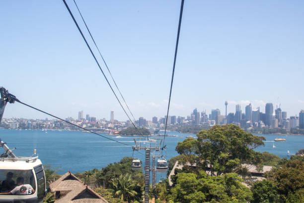 australia: zoológico de taronga - taronga fotografías e imágenes de stock